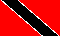 TT Flag